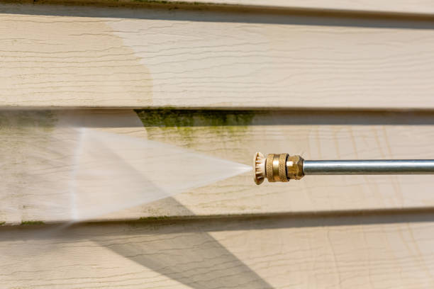 Best Roof Power Washing Services  in Las Quintas Fronterizas, TX